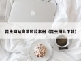 株洲昆虫网站高清照片素材（昆虫图片下载）