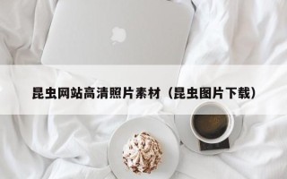 株洲昆虫网站高清照片素材(昆虫图片下载) 株洲昆虫网站高清照片素材(昆虫图片下载)